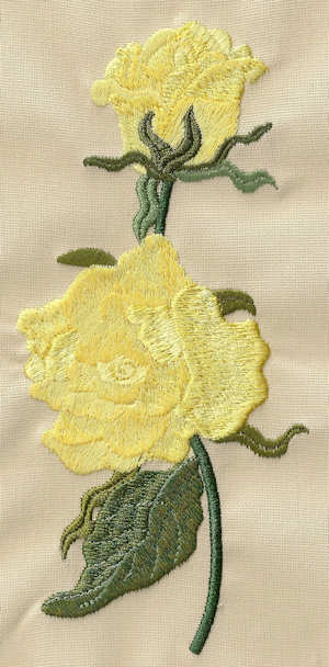 117 Rose 117 Rose
