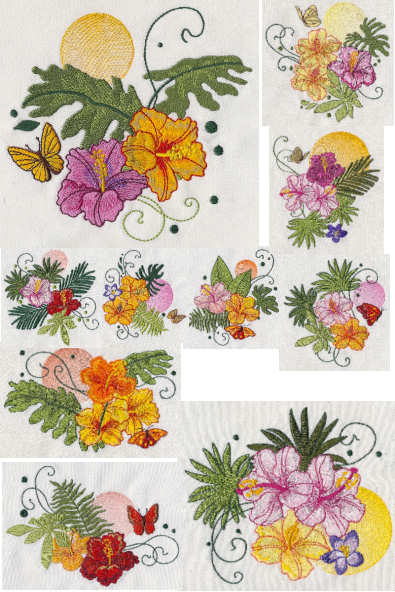 Hibi Color Hibiscus Hibi Color Hibiscus