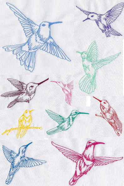 Humming Birds Linework Embroidery Designs Humming Birds Linework Embroidery Designs