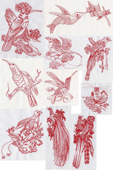 Tropical Birds bluework Tropical Birds bluework